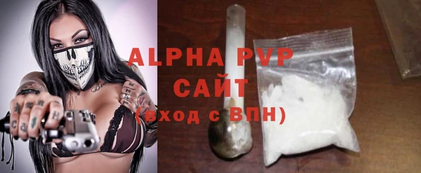 гашик Елизово