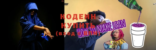 тгк Ельня