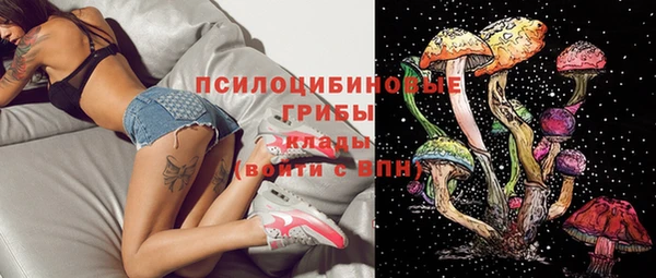мет Заводоуковск