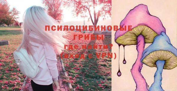 мет Заводоуковск