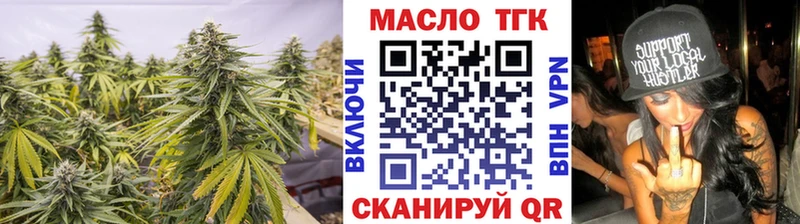 купить   Энгельс  ТГК концентрат 